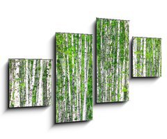 Obraz 4D tydln - 100 x 60 cm F_IS41678532 - Birch forest. May - Birch les. Smt