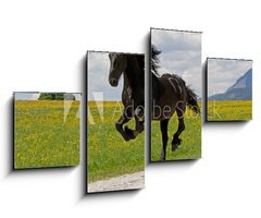 Obraz 4D tydln - 100 x 60 cm F_IS41915305 - Friese - Friesian