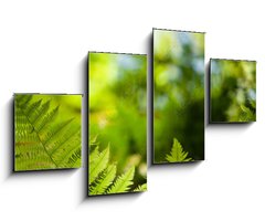 Obraz 4D tydln - 100 x 60 cm F_IS419413555 - Green fresh fern leafs in a forest with trees in the background and a blue sky