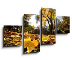 Obraz   Fall autumn park. Falling leaves in a sunny day, 100 x 60 cm