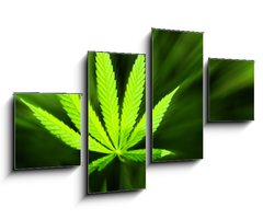 Obraz 4D tydln - 100 x 60 cm F_IS42226543 - Marijuana background