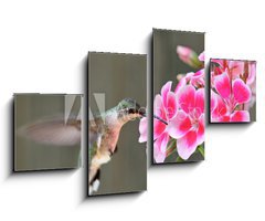 Obraz 4D tydln - 100 x 60 cm F_IS42378614 - Hummingbird Feeding