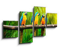 Obraz 4D tydln - 100 x 60 cm F_IS42532067 - Blue-and-Yellow Macaw - Modr