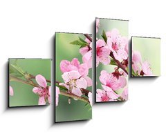 Obraz 4D tydln - 100 x 60 cm F_IS42824087 - beautiful pink peach blossom on green background