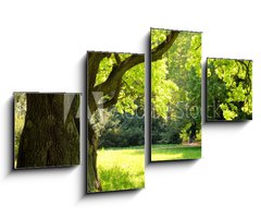 Obraz 4D tydln - 100 x 60 cm F_IS42887585 - Mighty oak tree