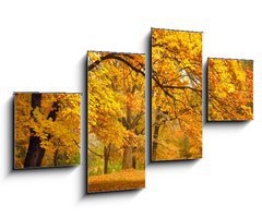 Obraz 4D tydln - 100 x 60 cm F_IS43414176 - Autumn / Gold Trees in a park - Podzimn / zlat stromy v parku