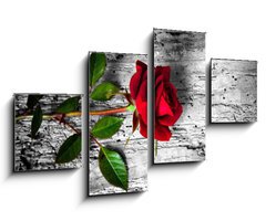 Obraz 4D tydln - 100 x 60 cm F_IS43494940 - rosa rossa su fondo b/n