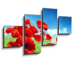 Obraz 4D tydln - 100 x 60 cm F_IS43614207 - Poppy flowers on field