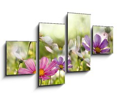Obraz 4D tydln - 100 x 60 cm F_IS43864342 - kwiaty