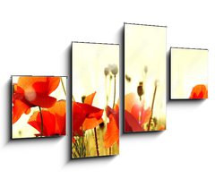 Obraz 4D tydln - 100 x 60 cm F_IS43890892 - mak