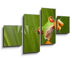 Obraz 4D tydln - 100 x 60 cm F_IS43998822 - red eyed tree frog peeping - erven oi strom ba peeping