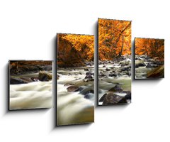 Obraz 4D tydln - 100 x 60 cm F_IS44082572 - Autumn landscape with trees and river - Podzimn krajina se stromy a ekou