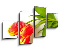 Obraz 4D tydln - 100 x 60 cm F_IS4410361 - tulpen - tulips
