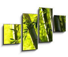 Obraz 4D tydln - 100 x 60 cm F_IS44190942 - Bamboo forest background. Shallow DOF