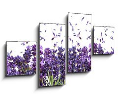 Obraz 4D tydln - 100 x 60 cm F_IS44305903 - fresh lavender flowers on white - erstv levandule kvtiny na blm