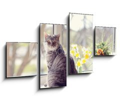 Obraz 4D tydln - 100 x 60 cm F_IS44792547 - cat sitting on the windowsill in the flowers on the background o