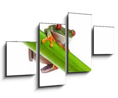 Obraz 4D tydln - 100 x 60 cm F_IS45097873 - Green Frog with red eye. - Zelen ba s ervenm okem.