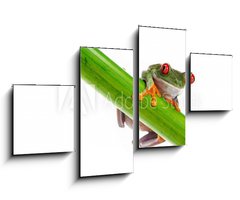 Obraz 4D tydln - 100 x 60 cm F_IS45099482 - Green Frog with red eye. - Zelen ba s ervenm okem.