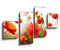 Obraz 4D tydln - 100 x 60 cm F_IS45158854 - mak