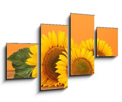 Obraz 4D tydln - 100 x 60 cm F_IS45286200 - sunflowers on yellow background - slunenice na lutm pozad