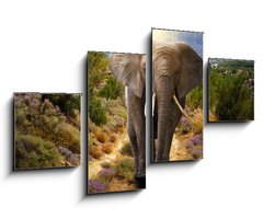 Obraz 4D tydln - 100 x 60 cm F_IS45496510 - Elephant walking on the road at sunset