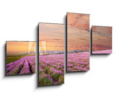 Obraz   Meadow of lavender, 100 x 60 cm