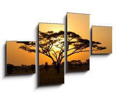 Obraz 4D tydln - 100 x 60 cm F_IS45762183 - Rising Sun shinning through an Acacia Tree in Serengeti