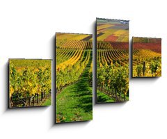 Obraz   Vineyards in autumn colours. The Rhine valley, Germany, 100 x 60 cm