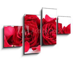 Obraz 4D tydln - 100 x 60 cm F_IS46400536 - beautiful red roses and petals isolated on white