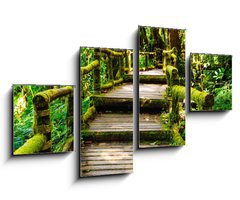 Obraz 4D tydln - 100 x 60 cm F_IS46782463 - Wood walkway