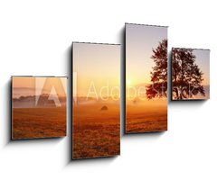 Obraz   Alone tree on meadow at sunset with sun and mist  panorama, 100 x 60 cm
