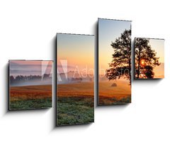 Obraz   Alone tree on meadow at sunset with sun and mist, 100 x 60 cm