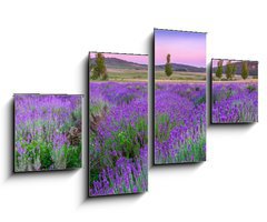 Obraz 4D tydln - 100 x 60 cm F_IS49777064 - Sunset over a summer lavender field in Tihany, Hungary - Zpad slunce nad letn levandule pole v Tihany, Maarsko
