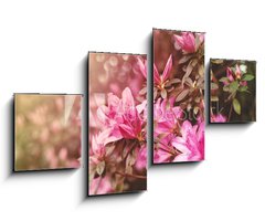 Obraz 4D tydln - 100 x 60 cm F_IS49992650 - Spring Azaleas in Soft Sunlight