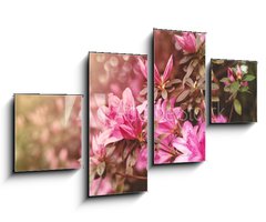 Obraz 4D tydln - 100 x 60 cm F_IS49992650 - Spring Azaleas in Soft Sunlight - Jarn azalky v mkkm slunenm svtle