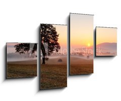 Obraz   Alone tree on meadow at sunset with sun and mist  panorama, 100 x 60 cm