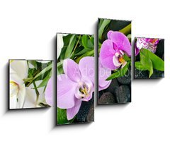 Obraz 4D tydln - 100 x 60 cm F_IS50426664 - Wellness Concept: orchids, bamboo, stone, water