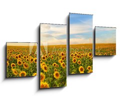 Obraz 4D tydln - 100 x 60 cm F_IS50744660 - sunflowers