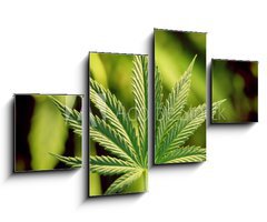 Obraz 4D tydln - 100 x 60 cm F_IS5123920 - marijuana - marihuana