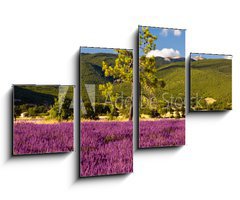 Obraz 4D tydln - 100 x 60 cm F_IS51603534 - Campi di Lavanda a Valensole Provenza, Francia