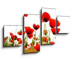 Obraz 4D tydln - 100 x 60 cm F_IS51629821 - coquelicots sur fond blanc