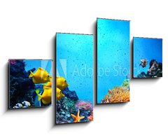 Obraz   Underwater scene. Coral reef, fish groups in clear ocean water, 100 x 60 cm