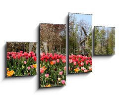 Obraz 4D tydln - 100 x 60 cm F_IS52173694 - Holland windmills and tulips