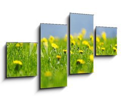 Obraz   Yellow dandelions, 100 x 60 cm