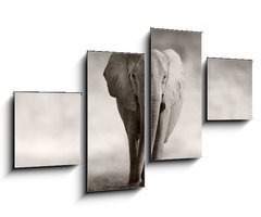 Obraz 4D tydln - 100 x 60 cm F_IS53182375 - Elephant