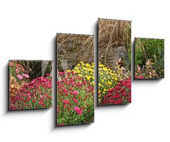 Obraz 4D tydln - 100 x 60 cm F_IS53522146 - chrysanthmes en massif