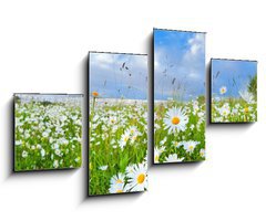 Obraz 4D tydln - 100 x 60 cm F_IS54073835 - many chamomile flowers over blue sky