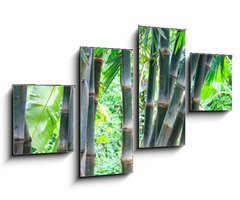 Obraz   Bamboo forest, 100 x 60 cm