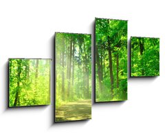 Obraz 4D tydln - 100 x 60 cm F_IS55128524 - Waldweg mit Sonnenschein - Lesn cesta se sluncem