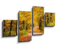 Obraz 4D tydln - 100 x 60 cm F_IS55873204 - Autumn forest